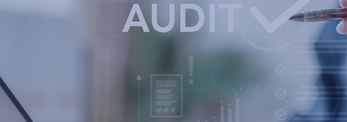 Financial and Administrative Auditing